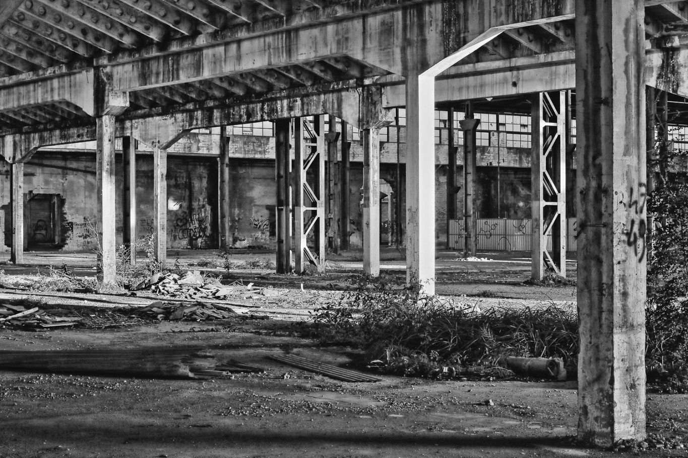 Ex Area Zanussi Conegliano