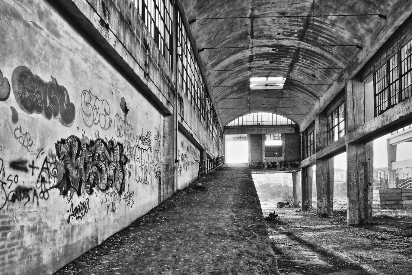 Ex Area Zanussi Conegliano