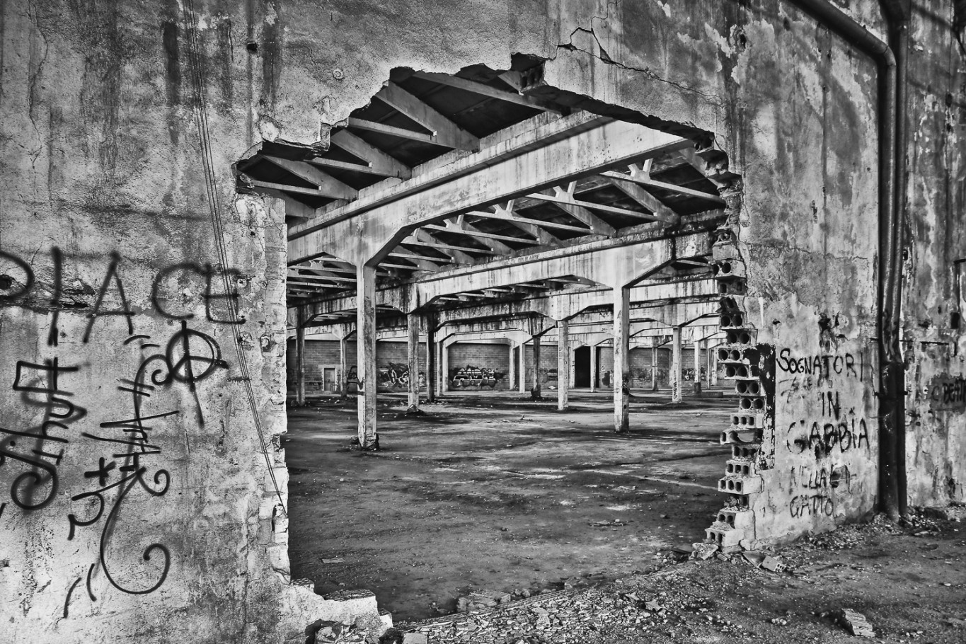 Ex Area Zanussi Conegliano
