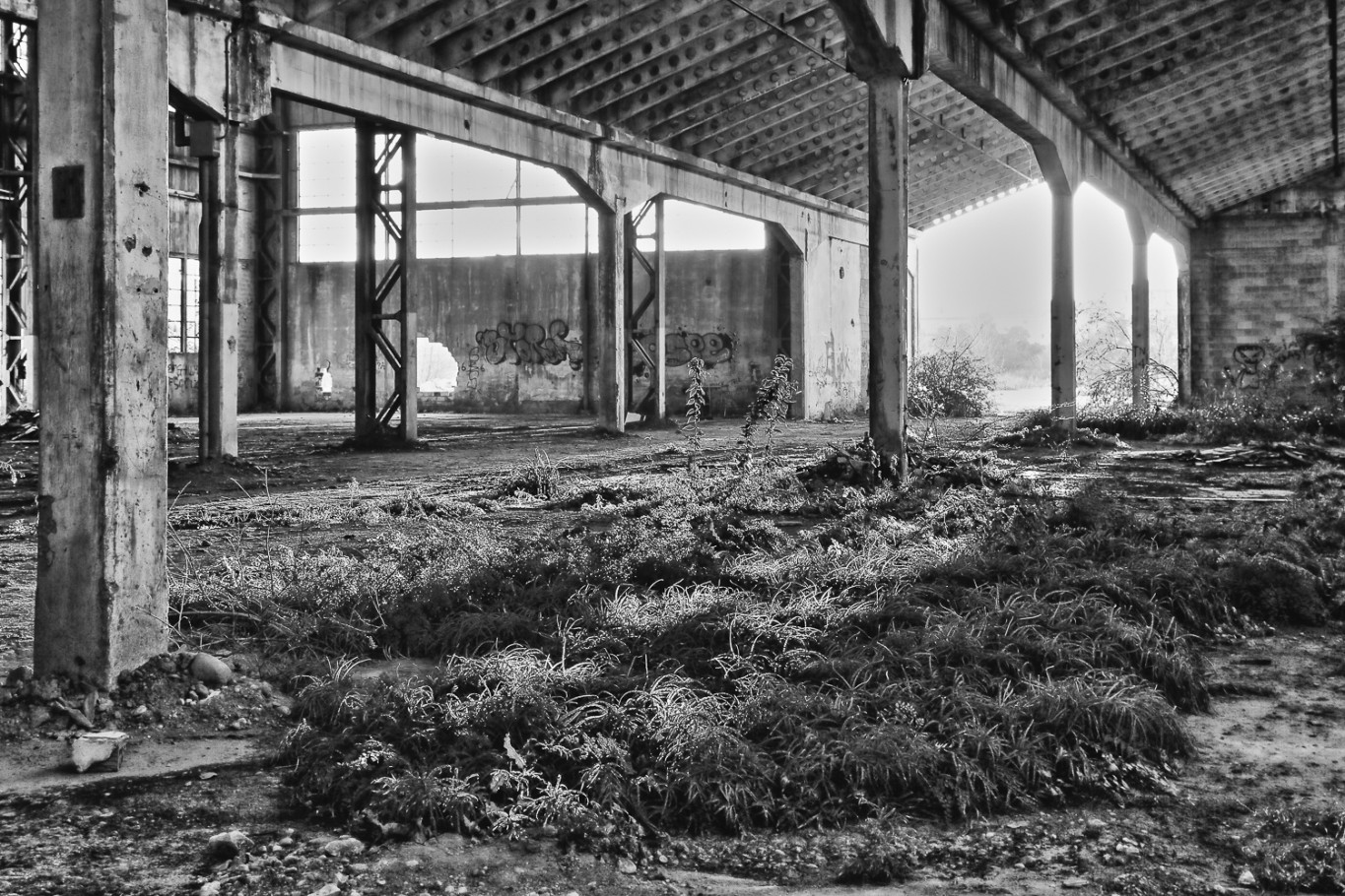 Ex Area Zanussi Conegliano