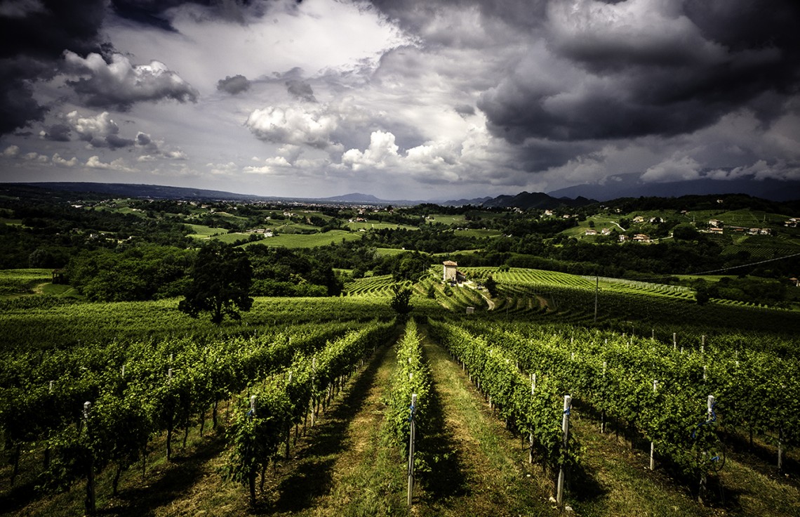 Filari di Prosecco S. Pietro di Feletto