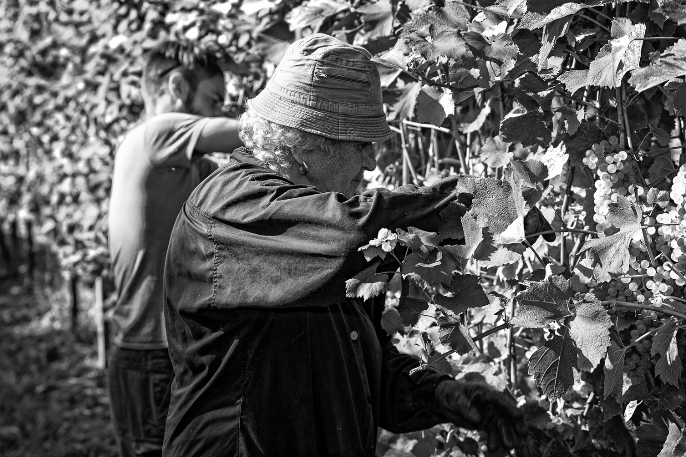 Generazioni al lavoro.